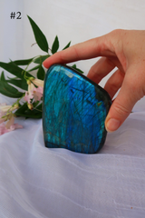 Flashy Labradorite Freeforms