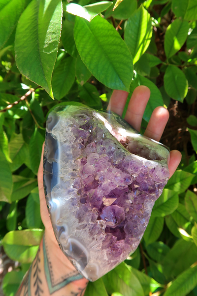 High Quality Large Amethyst Cluster