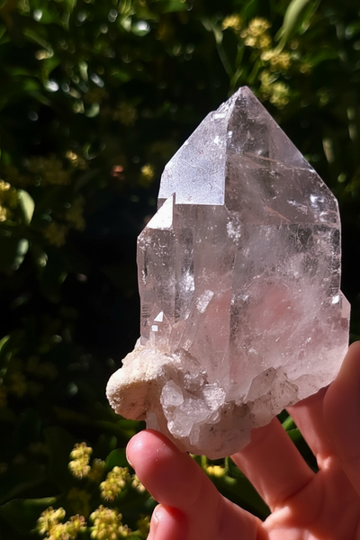Lemurian Quartz Point
