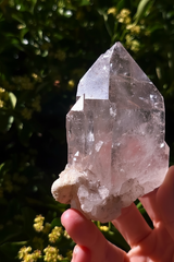 Lemurian Quartz Point