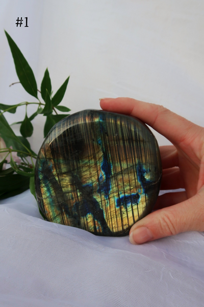 Flashy Labradorite Freeforms