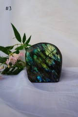 Flashy Labradorite Freeforms